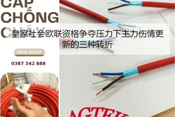huang-jia-she-hui-ou-lian-zi-ge-zheng-duo-ya-li-xia-zhu-li-shang-qing-geng-xin-de-san-zhong-zhuan-zhe-2-108.jpg